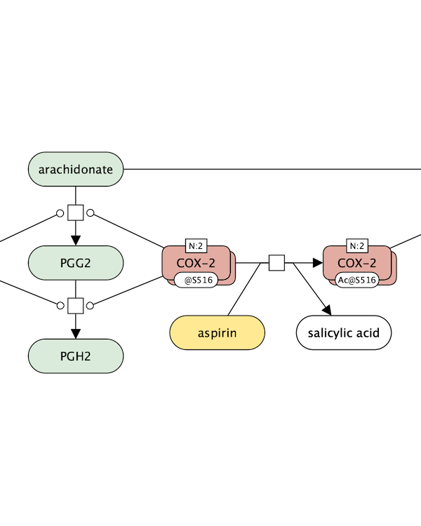 Aspirin map